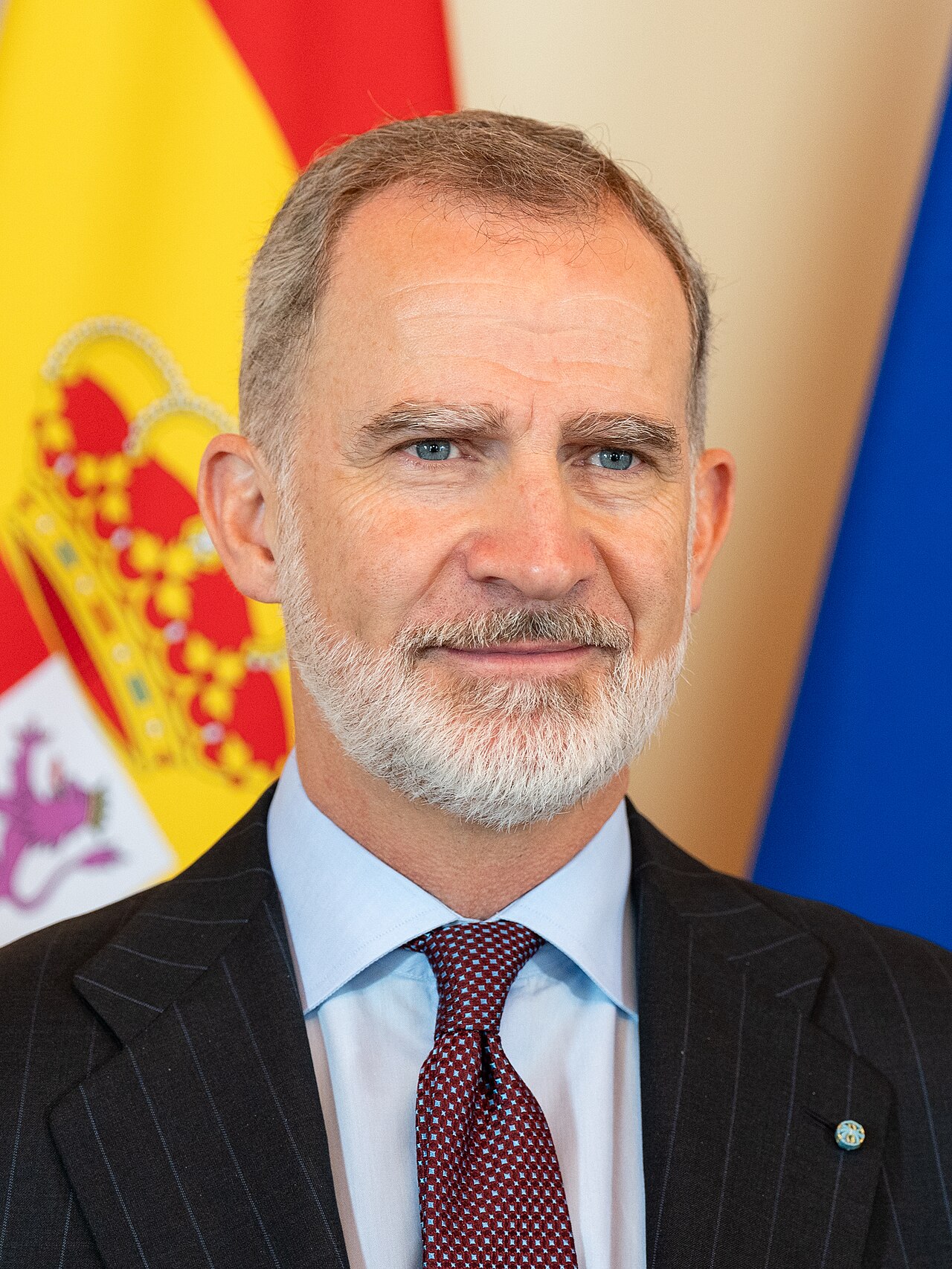 Imagen de archivo: Felipe VI