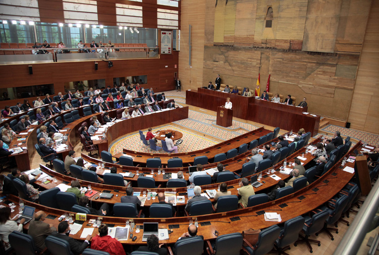 Imagen de archivo: Asamblea de Madrid